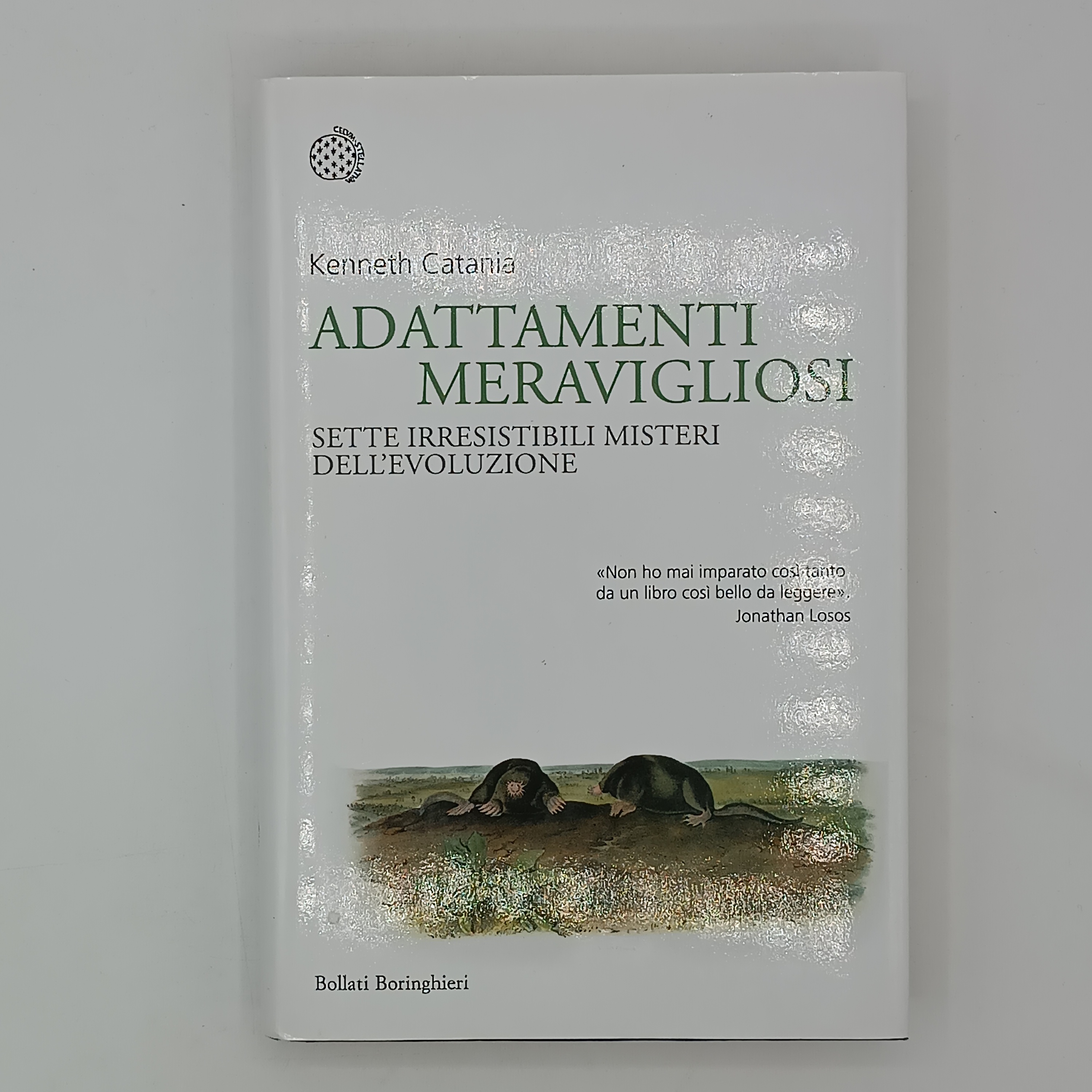 Adattamenti meravigliosi. Sette irresistibili misteri dell'evoluzione