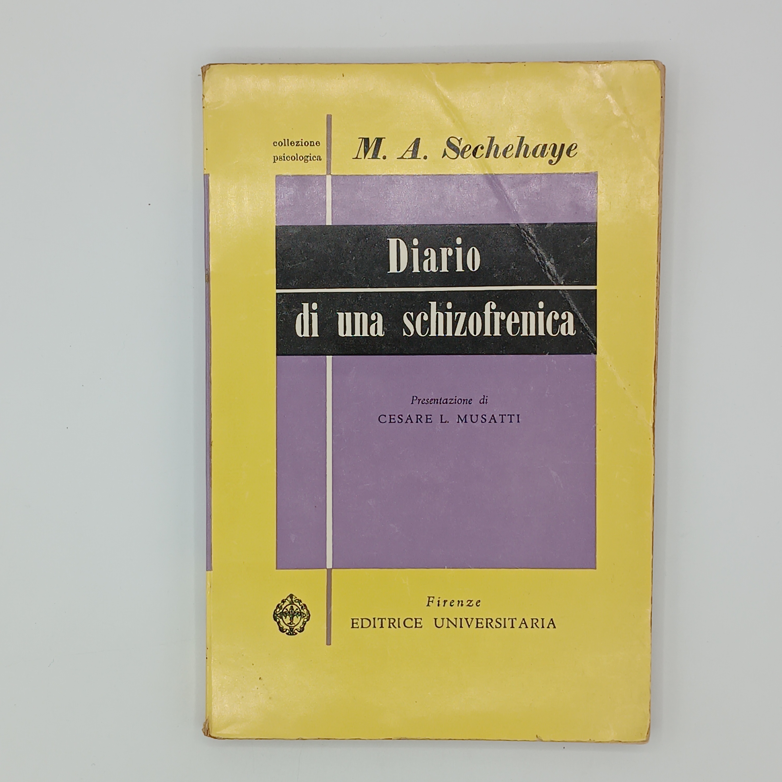 Diario di una schizofrenica