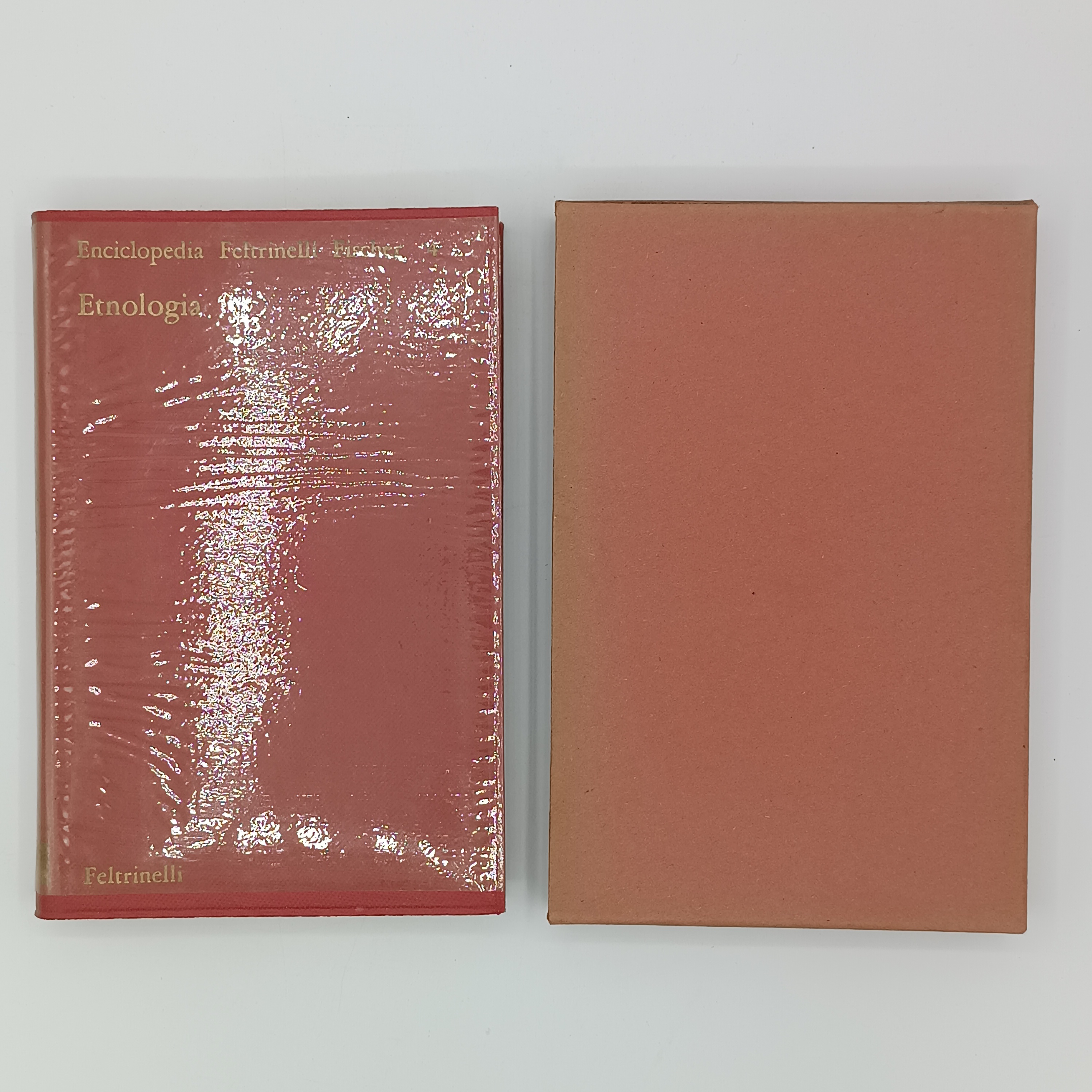 Etnologia (Enciclopedia Feltrinelli Fischer 4)