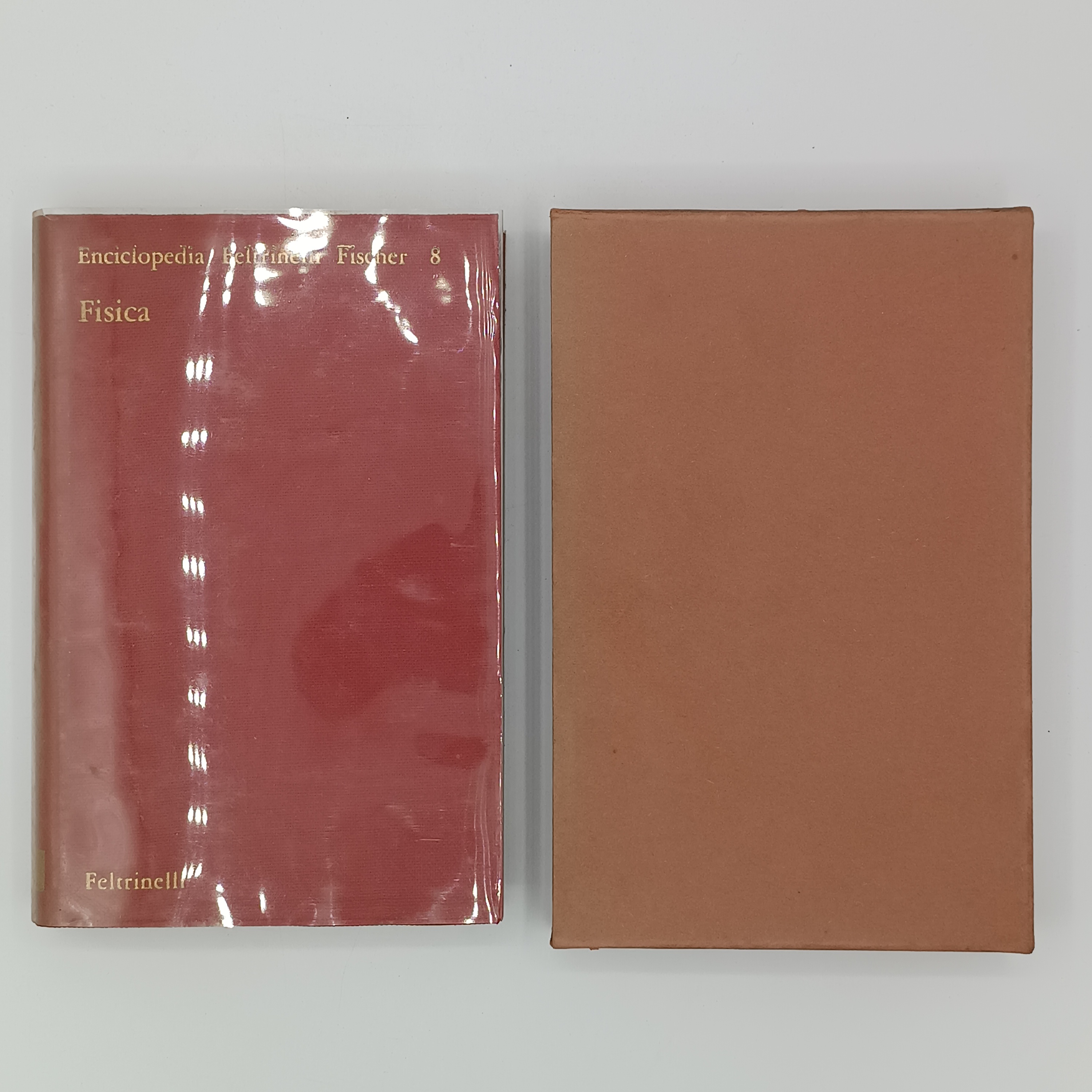 Fisica (Enciclopedia Feltrinelli Fischer 8)
