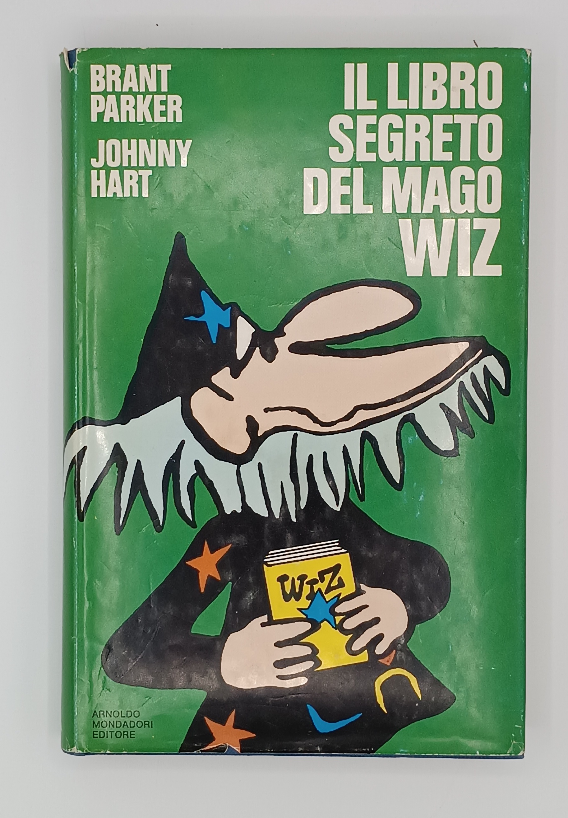 Il libro segreto del mago Wiz