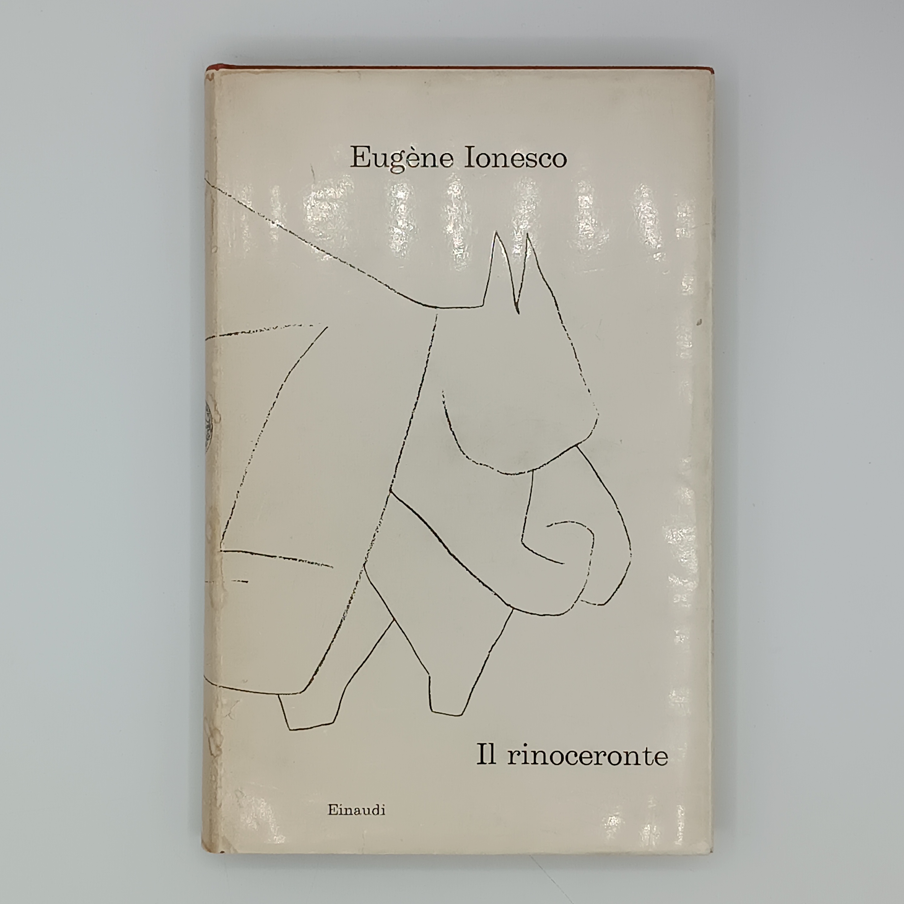 Il rinoceronte