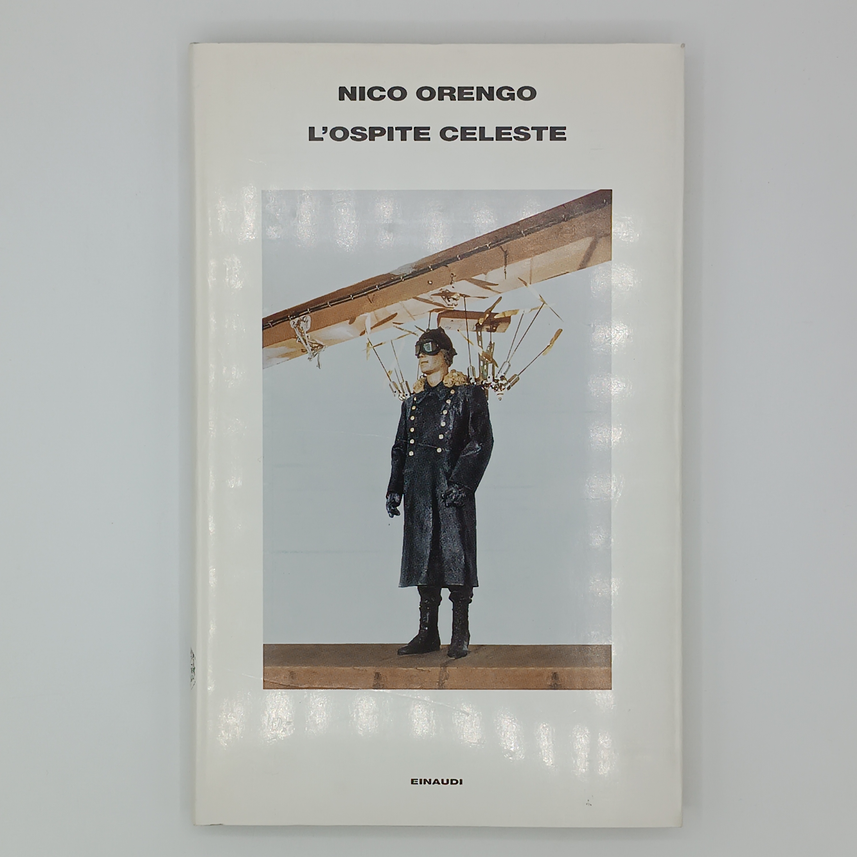 L'ospite celeste