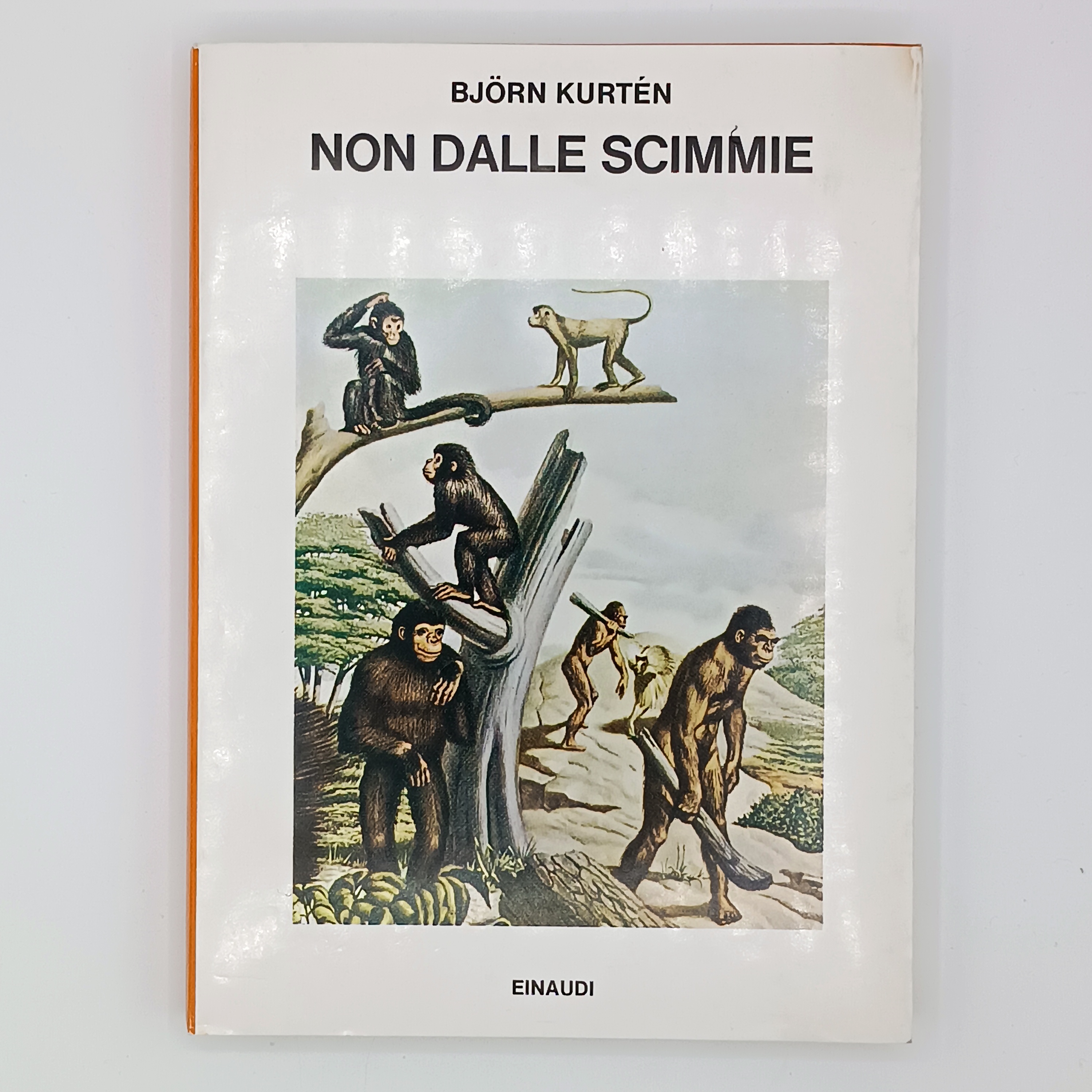 Non dalle scimmie