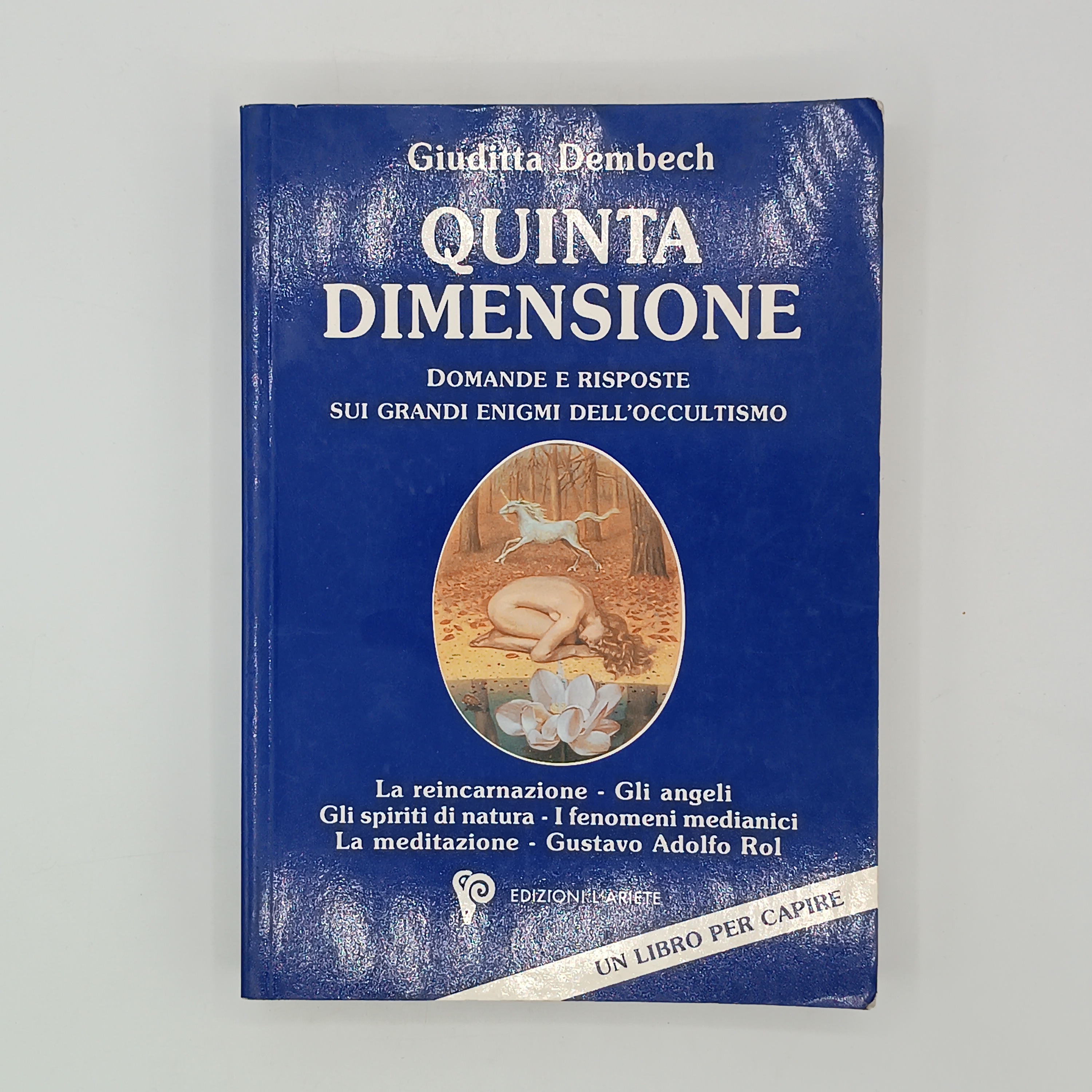 Quinta dimensione. Domande e risposte sui grandi enigmi dell'occultismo