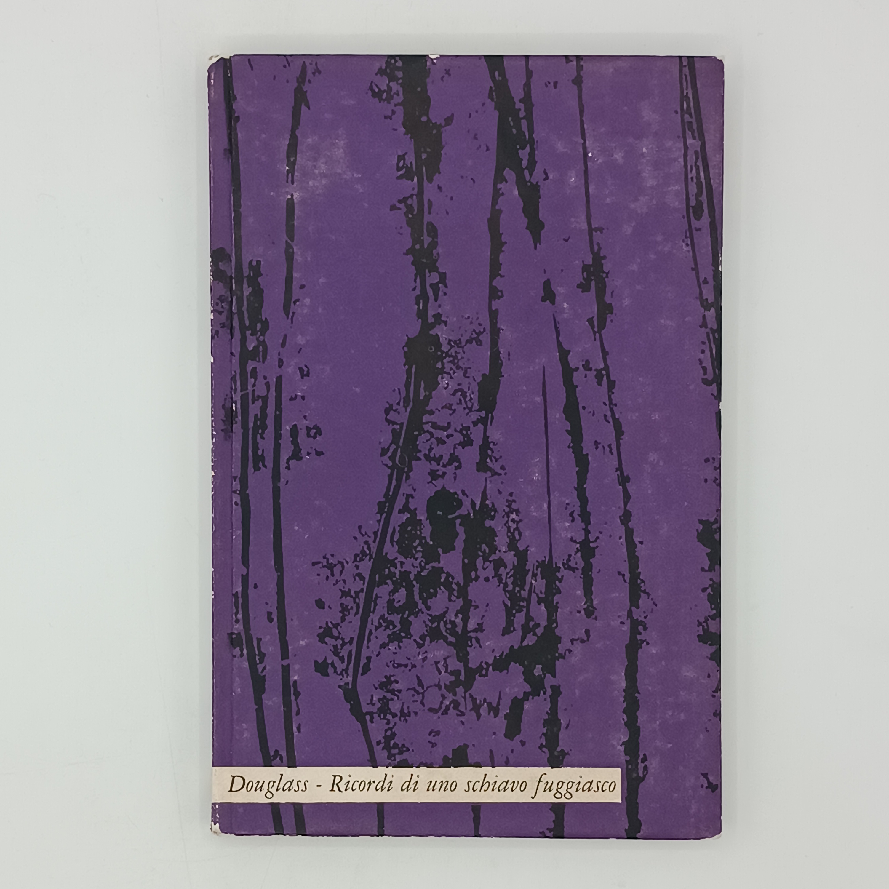 Ricordi di uno schiavo fuggiasco