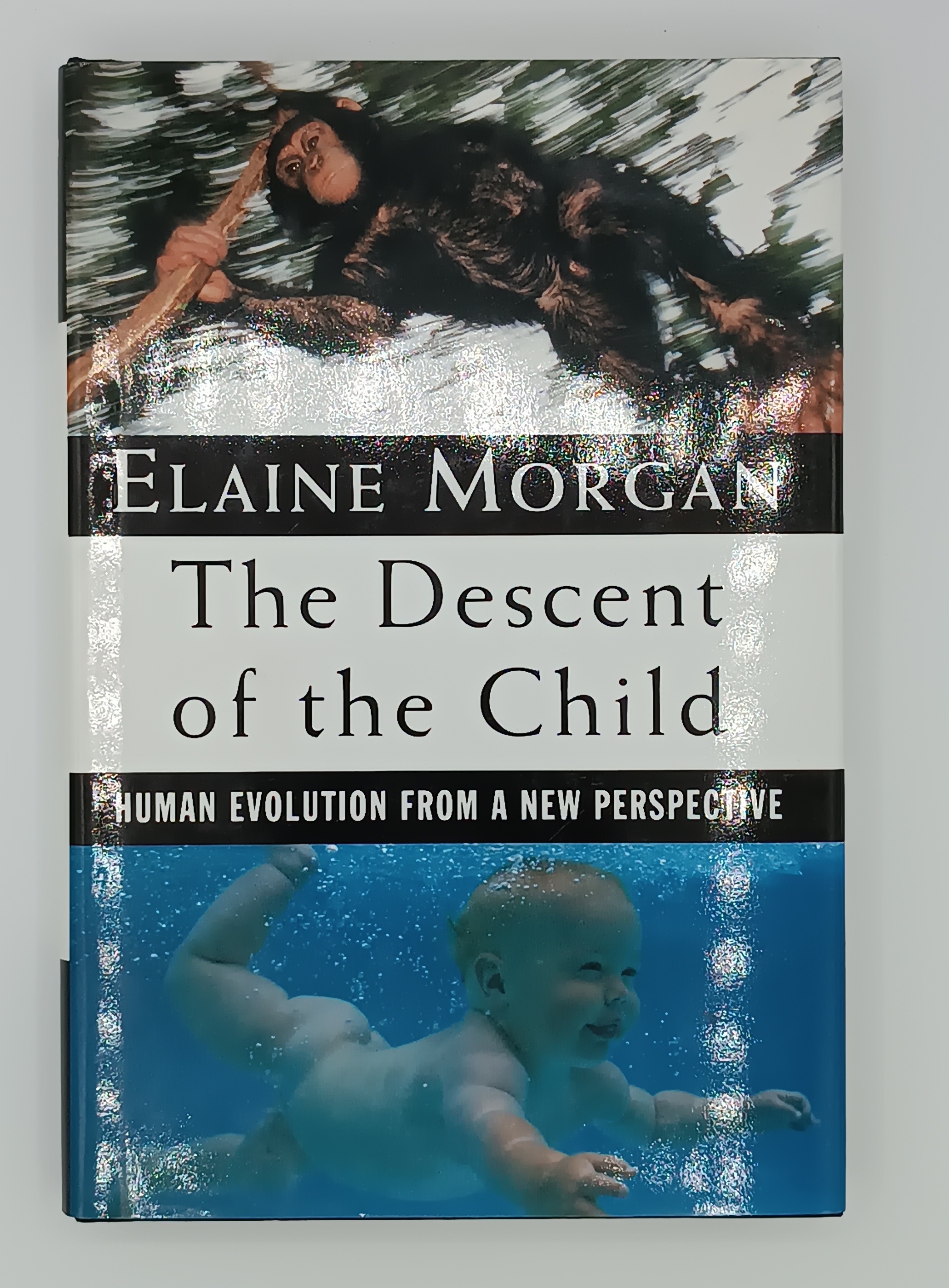 The descent of the child. Human evolution from a new …