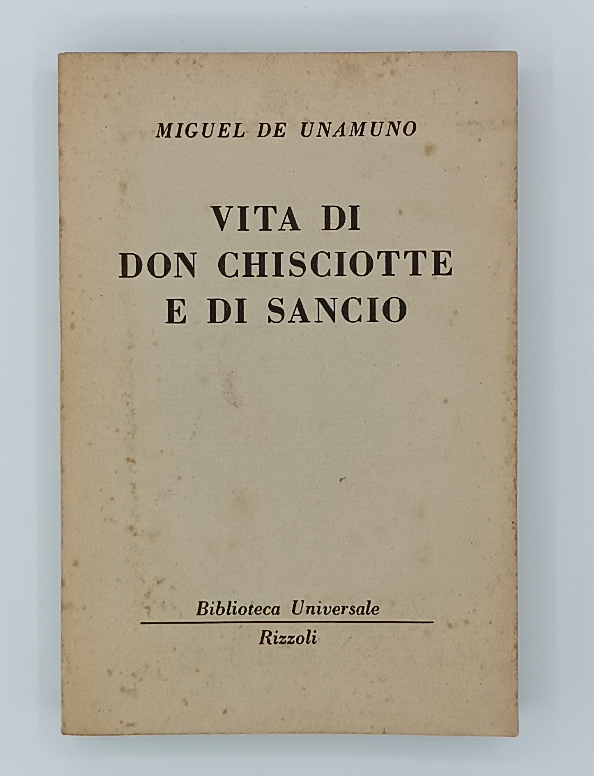 Vita di Don Chisciotte e di Sancio