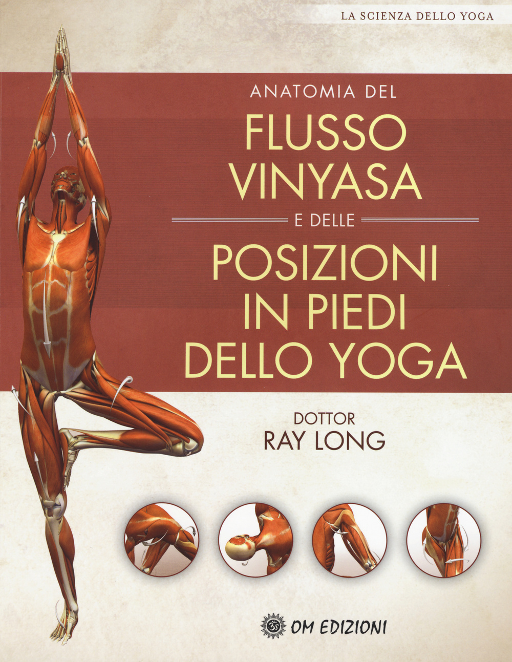 Anatomia del flusso vinyasa e delle posizioni in piedi dello …