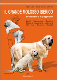 Il grande molosso iberico. Il mastino spagnolo