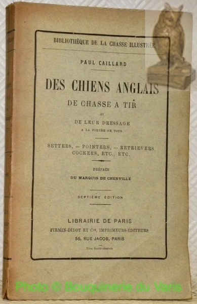 Des chiens anglais de chasse et de tir et de …