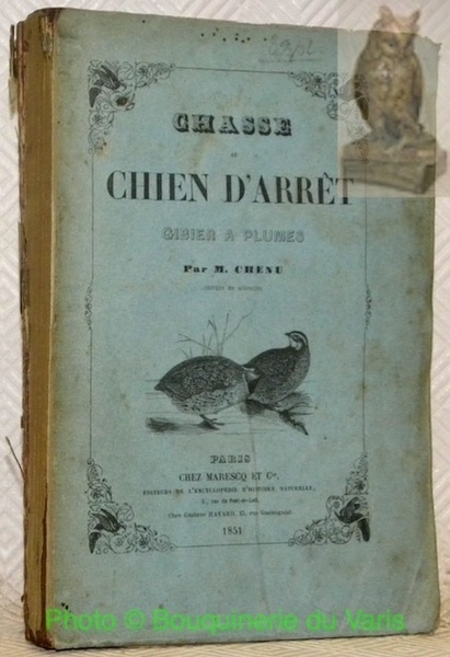 Chasse au chien d’arrêt, gibier a plumes.