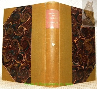 Die Errichtung des Bistums St. Gallen.