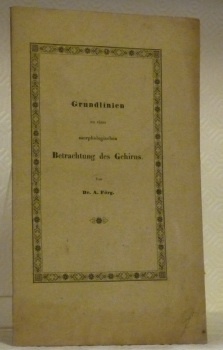 Grundlinien zu einer morphologischen Betrachtung des Gehirns.