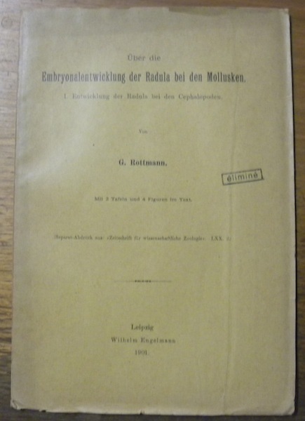 Über die Embryonalentwicklung der Radula bei den Mollusken. I. Entwicklung …