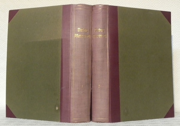 Die Pflanzenwelt. 2 Bande. (1 - 2). I: Protophyten, Thallophyten, …