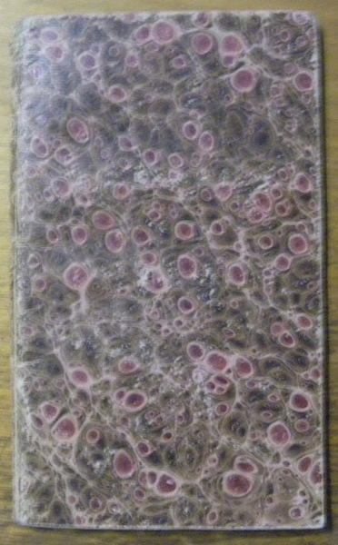 Catalogus Sociorum et Officiorum Provinciae Italiae Societatis Jesu Anno MDCCCXXIX …