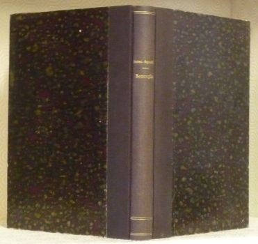 Le Diete Imperiali di Roncaglia e la navigazione del Po …