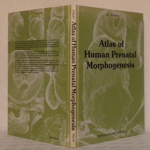 Atlas of human prenatal morphogenesis. With the technical assistance of …