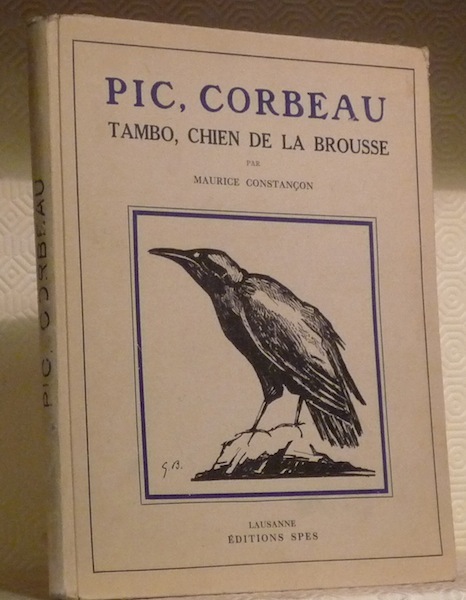 Pic, Corbeau suivi de Tambo, chien de la brousse. Avec …
