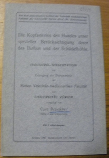 Die Kopfarterien des Hundes unter spezieller Berücksichtigung derer des Bulbus …