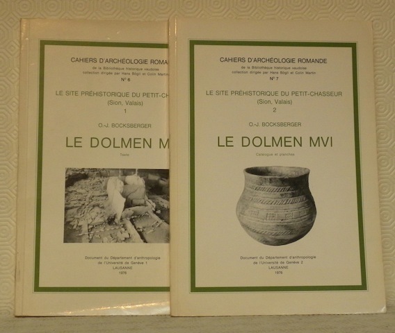 Le site préhistorique du petit-chasseur. Sion, Valais. Le Dolmen MVI. …