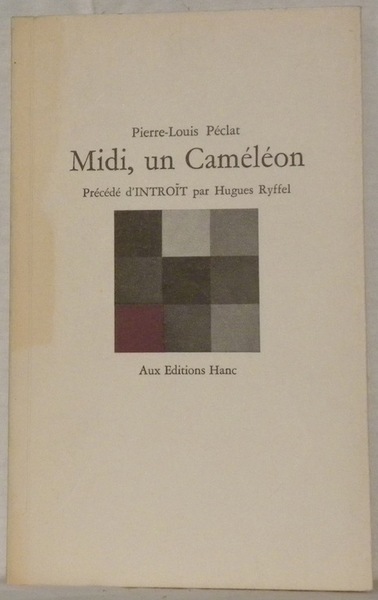 Midi, un caméléon.
