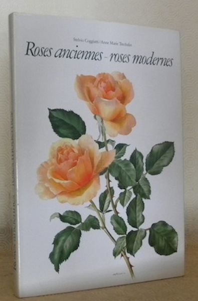 Roses anciennes - roses modernes. Aquarelles Anne Marie Trechslin.