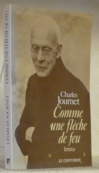 Comme une flèche de feu. Lettres choisies par Marie-Agnès Cabanne. …