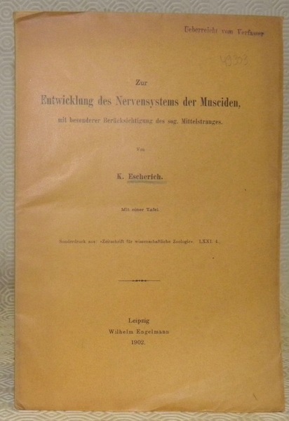 Zur Entwicklung des Nervensystems der Musciden, mit besonderer Berücksichtigung des …