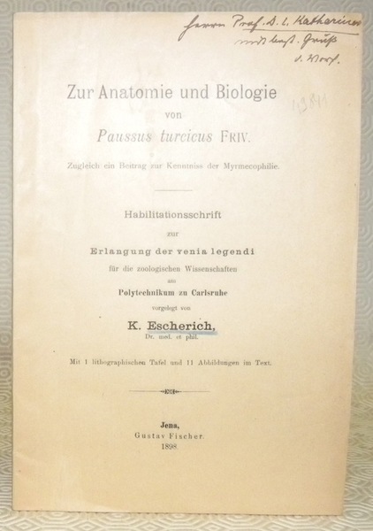 Zur Anatomie und Biologie von Paussus turcicus FRIV. Mit kith. …