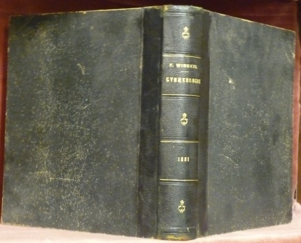 Die Pathologie der weiblichen Sexual-Organe in Lichtdruck-Abbildungen nach der Natur …