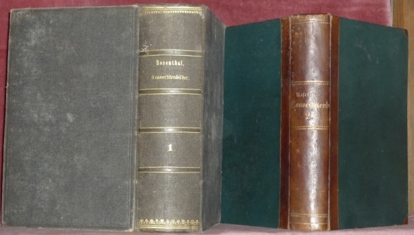 Convertitenbilder aus dem neunzehnten Jahrhundert. Erster Band : Deutschland und …