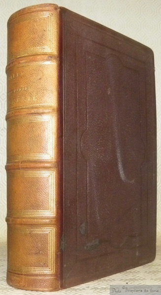 Deux années au Brésil. Ouvrage illustré de 180 vignettes dessinées …