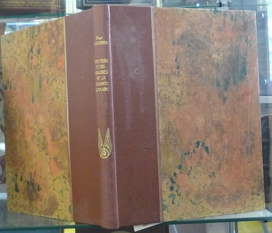 Saint Pierre et les origines de la primauté romaine.