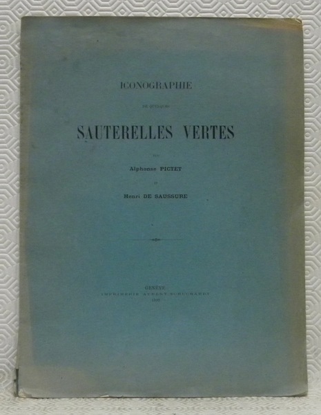 Iconographie de quelques sauterelles vertes.