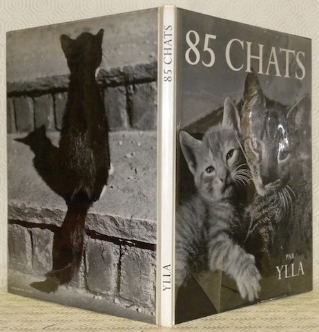 85 Chats. Préface de Dominique Aury.