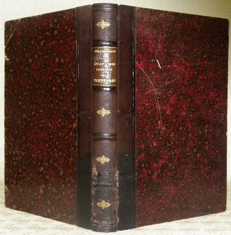 Manuel d’anatomie comparée des vertébrés. Traduit sur la deuxième édition …