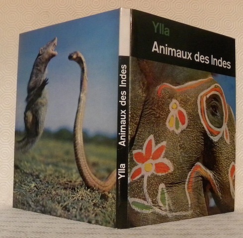 Animaux des Indes. Photographies de l’auteur.