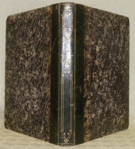 La Suisse pittoresque et ses environs. Tableau général, descriptif, historique …