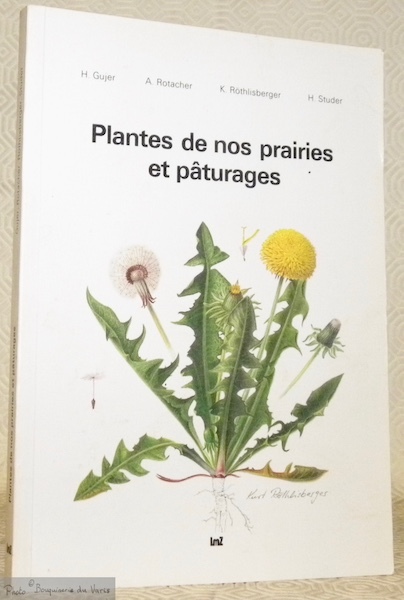 Plantes de nos prairies et pâturages. Deuxième édition.