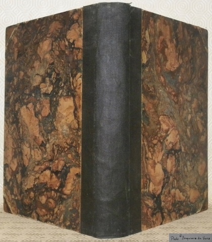 Die Dichtungen des Michelagniolo Buonarroti. Herausgegeben und mit kritischem Apparate …