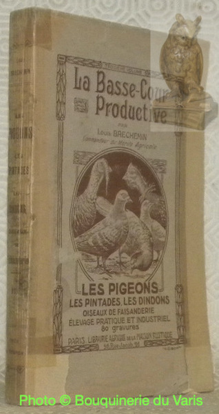 La Basse-Cour productive. Les pigeons, les pintades, les dindons, oiseaux …