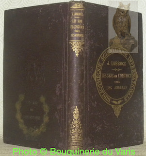 Le sens et l'instinct chez les animaux et principalement chez …