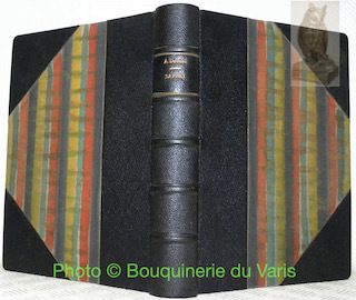 Sapho. Moeurs parisiennes. Nombreuses illustrations en couleurs par Auguste Leroux …