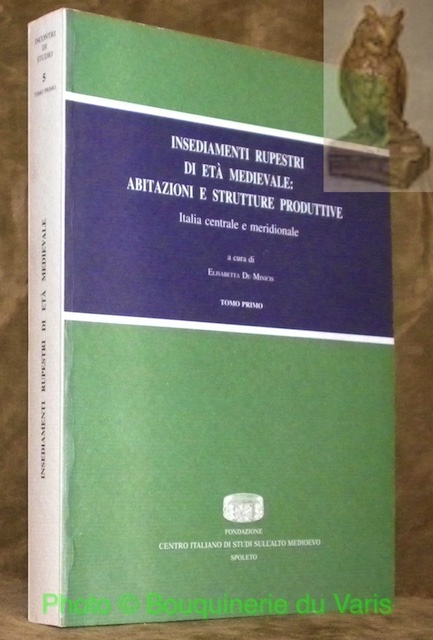 Insediamenti rupestri di età medievale: abitazioni e strutture produttive. Italia …