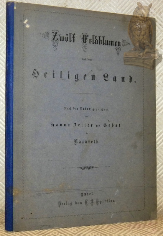 Zwölf Feldblumen aus den Heiligen Land.