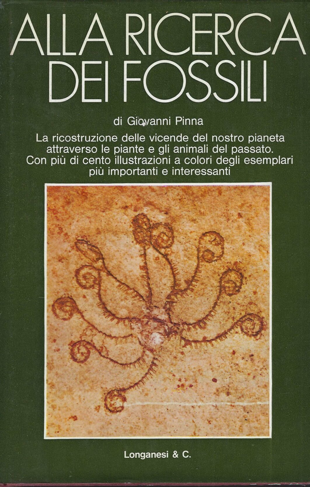 Alla Ricerca Dei Fossili