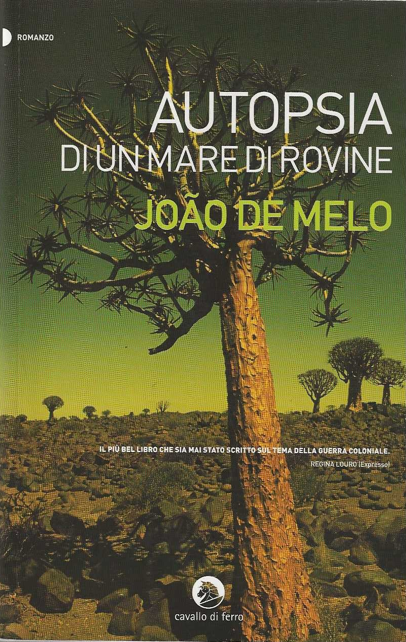 Autopsia di un mare di rovine