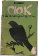 Ciok E La Meravigliosa Istoria